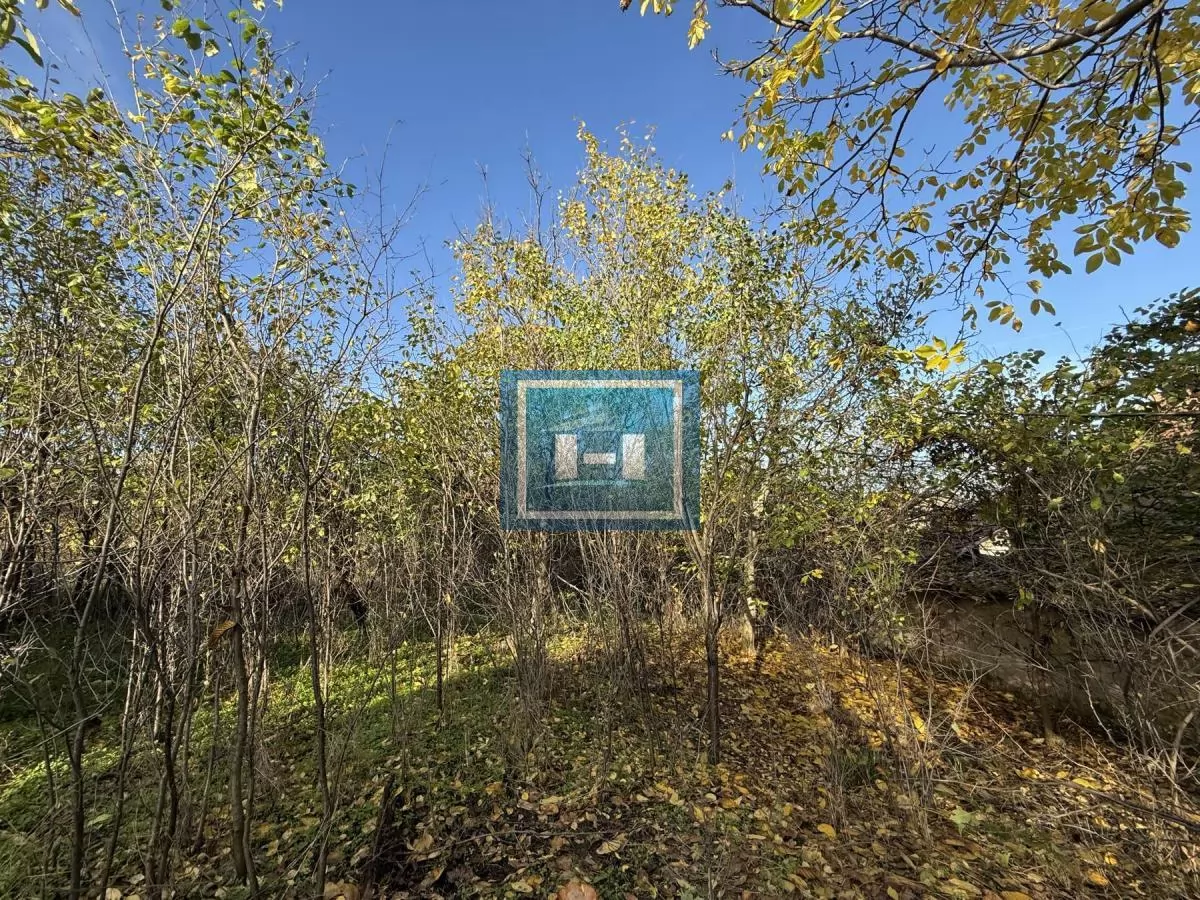 Na prodaju prostrano imanje u selu Crnče – idealno za život ili investiciju 17