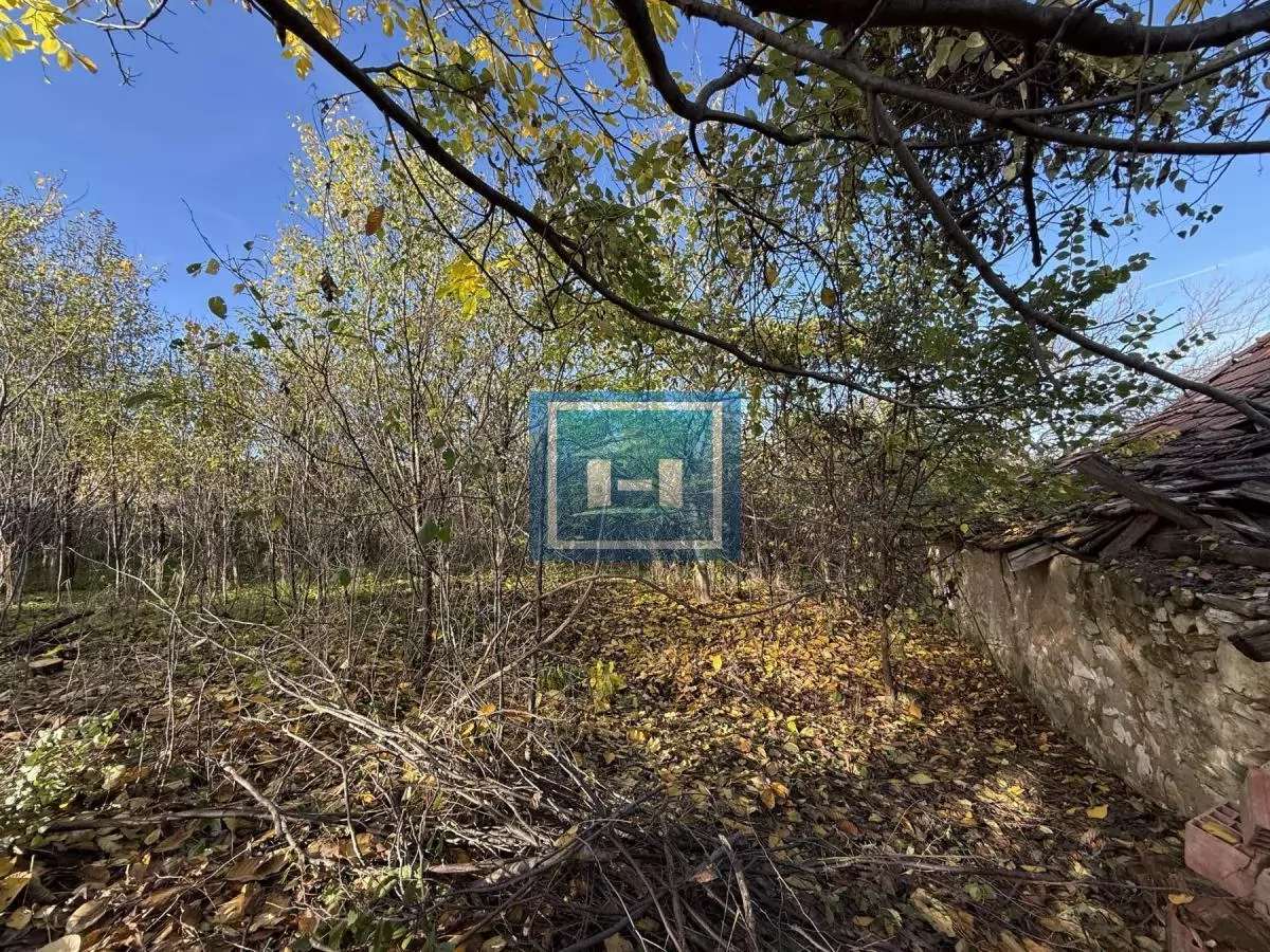 Na prodaju prostrano imanje u selu Crnče – idealno za život ili investiciju 18