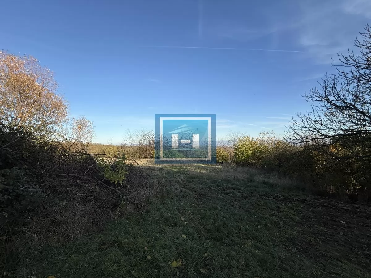 Na prodaju prostrano imanje u selu Crnče – idealno za život ili investiciju 66