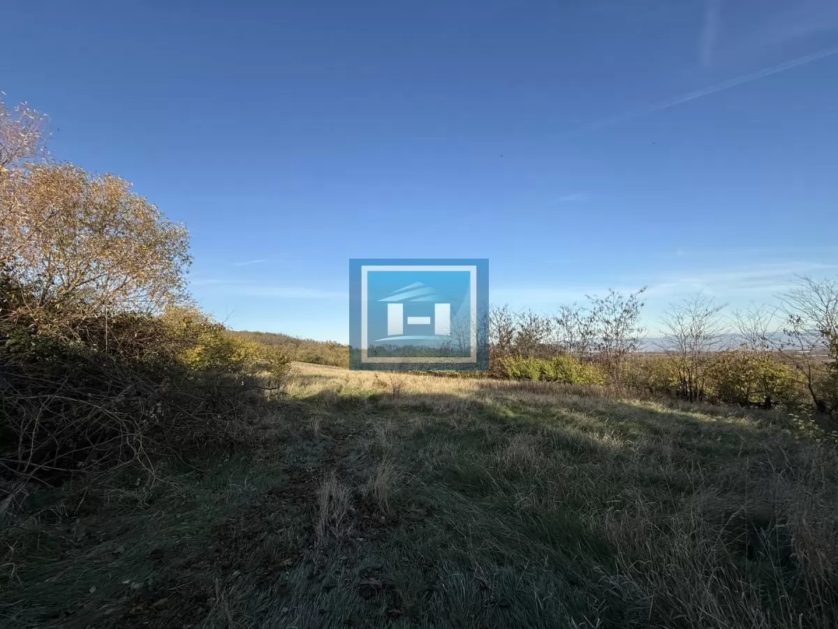 Na prodaju prostrano imanje u selu Crnče – idealno za život ili investiciju 70