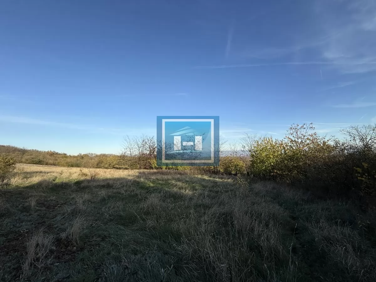 Na prodaju prostrano imanje u selu Crnče – idealno za život ili investiciju 71