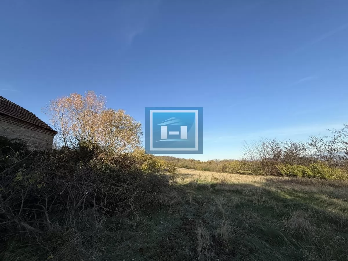 Na prodaju prostrano imanje u selu Crnče – idealno za život ili investiciju 72