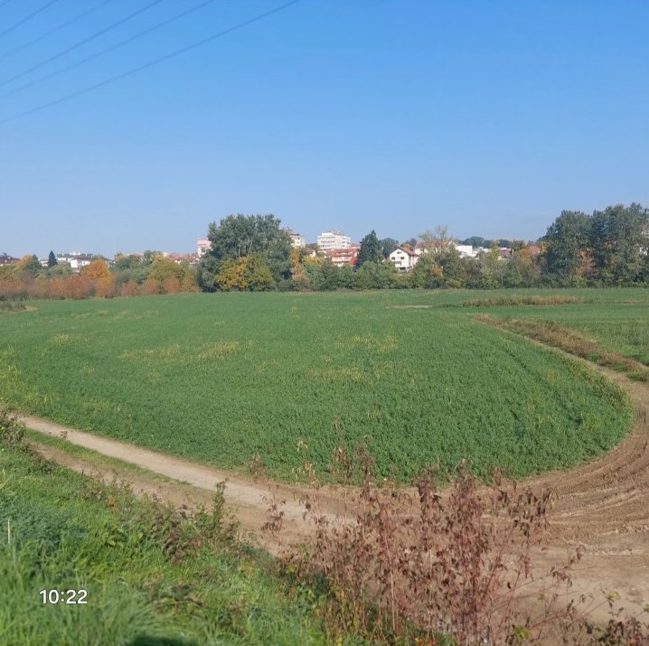 Plac od 46 ari u Kraljevu  KO RIbnica k p 58 1 1