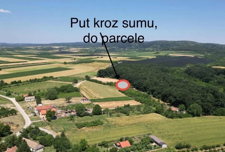 Prodajem zemljiste Krušedol Irig 4