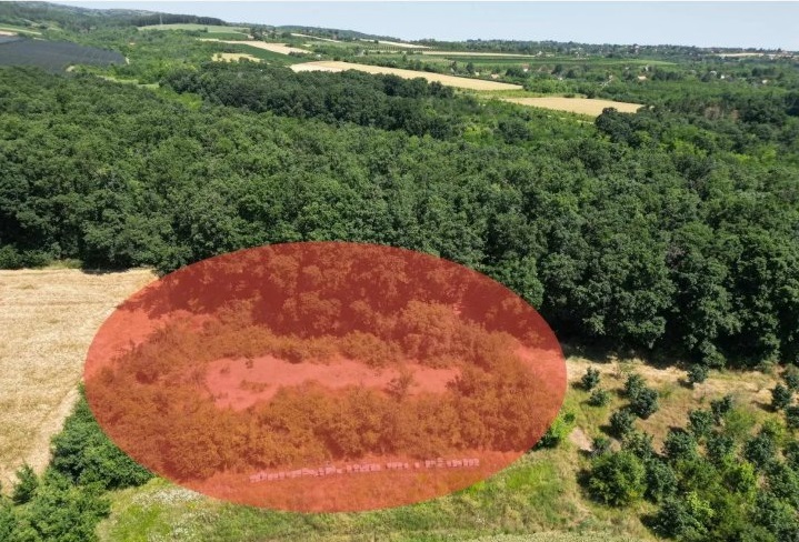 Prodajem zemljiste Krušedol Irig 5