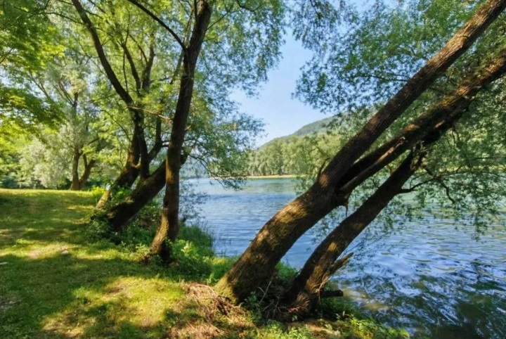 Placevi na prodaju Gornja Trešnjica Ljubovija 1
