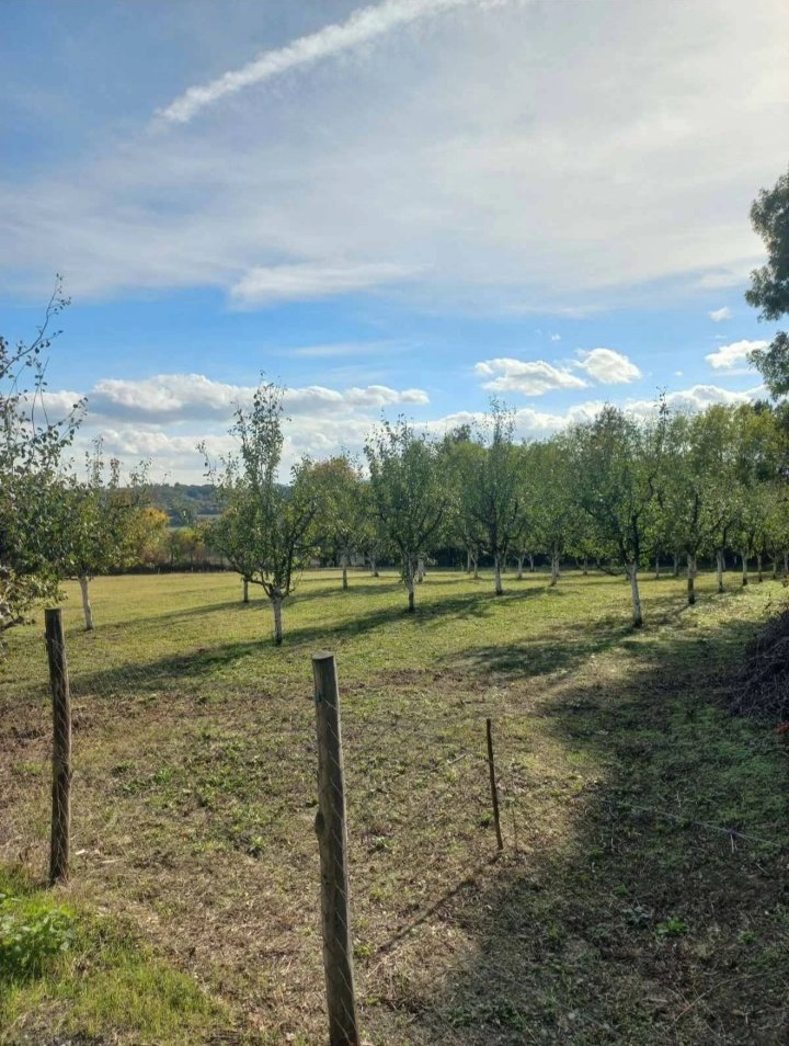 Plac u Sopotu sa pogledom na Kosmaj 3