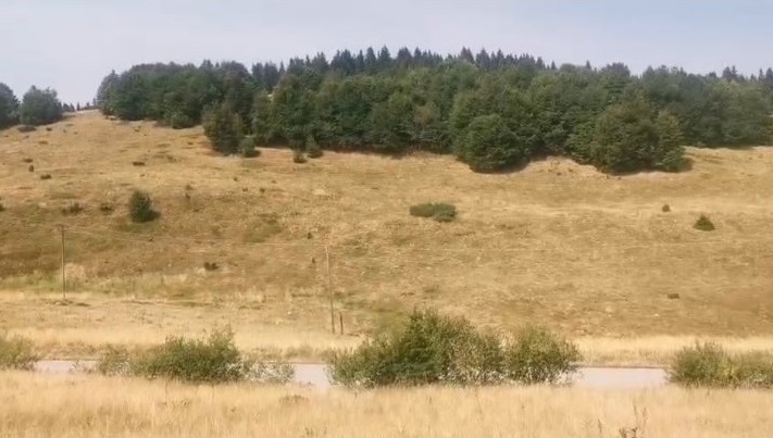 Plac na Kopaoniku Kriva Reka 5