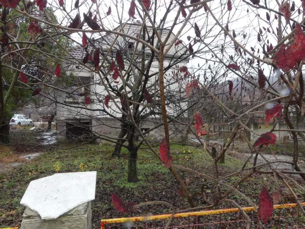 Kuća za rušenje sa velikim placem na odličnoj lokaciji u Majuru 1