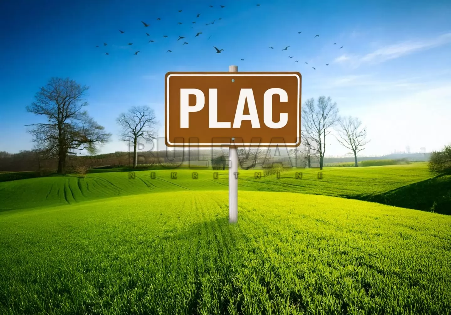 Plac, Niška Banja, Niška Banja ID: p-015276 1