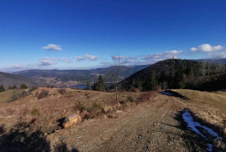 Zaovine Vasiliči  44ara 3