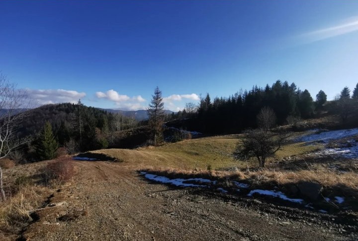 Zaovine Vasiliči  44ara 4