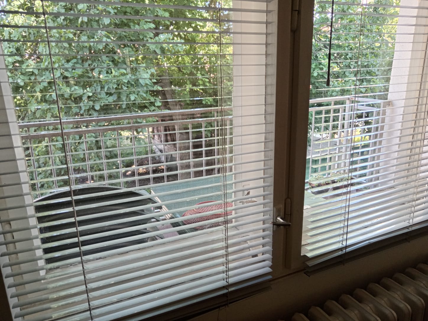 Stan 80 m2 u samom centru Knjaževca 6