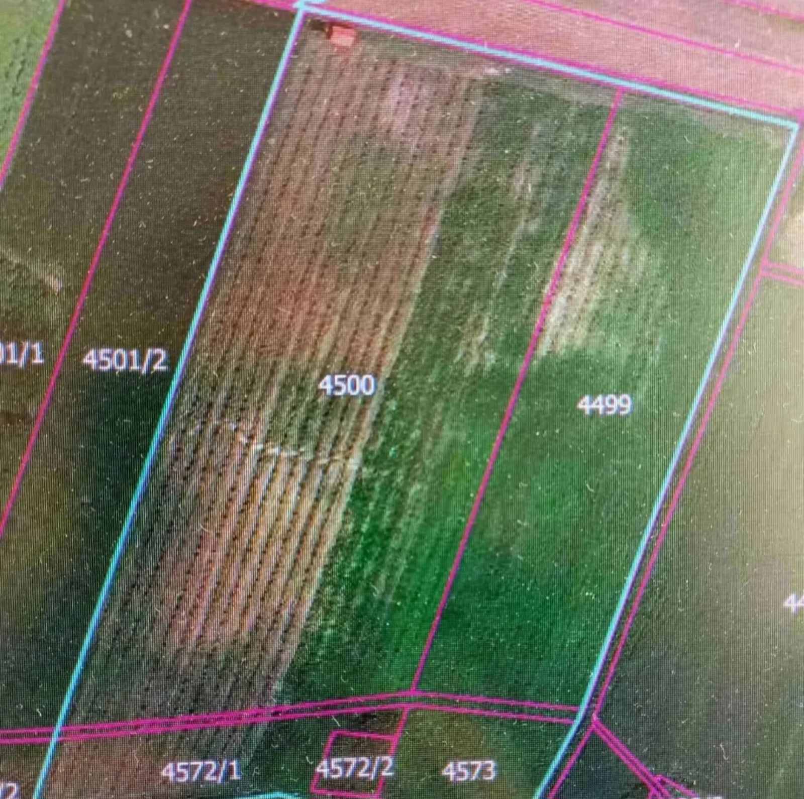 Plantaža lešnika Sremska Mitrovica Ležimir 378ari 5