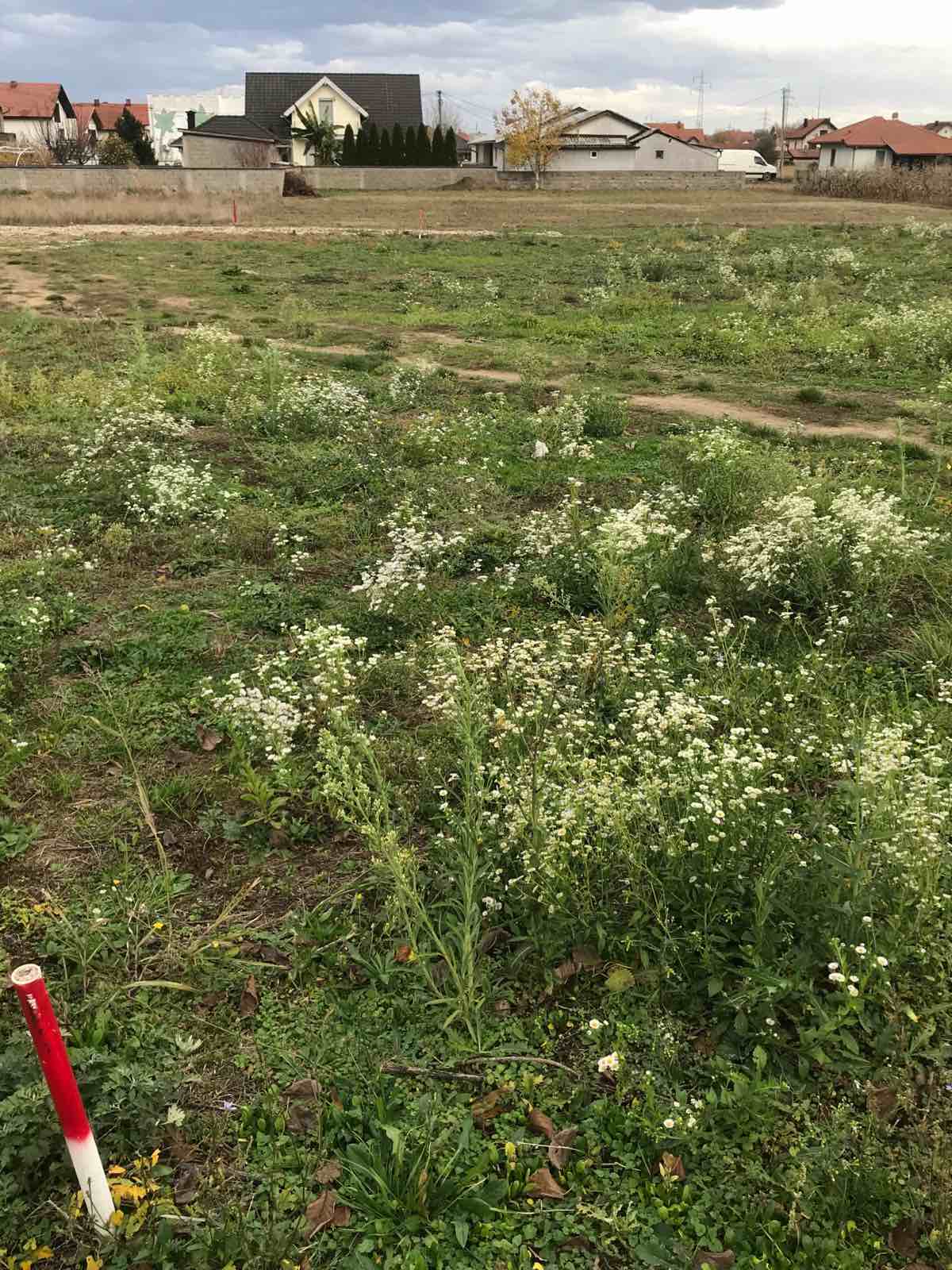 Prodajem plac u Loznici 5