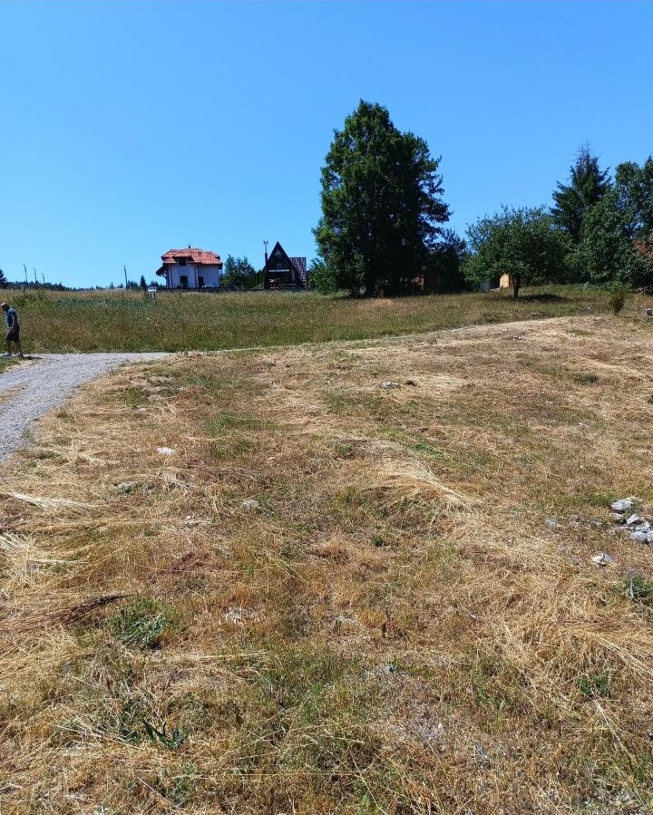 Plac na Tari Osluša 1