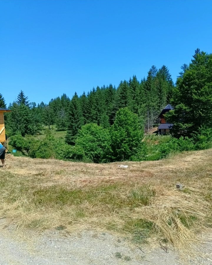 Plac na Tari Osluša 4