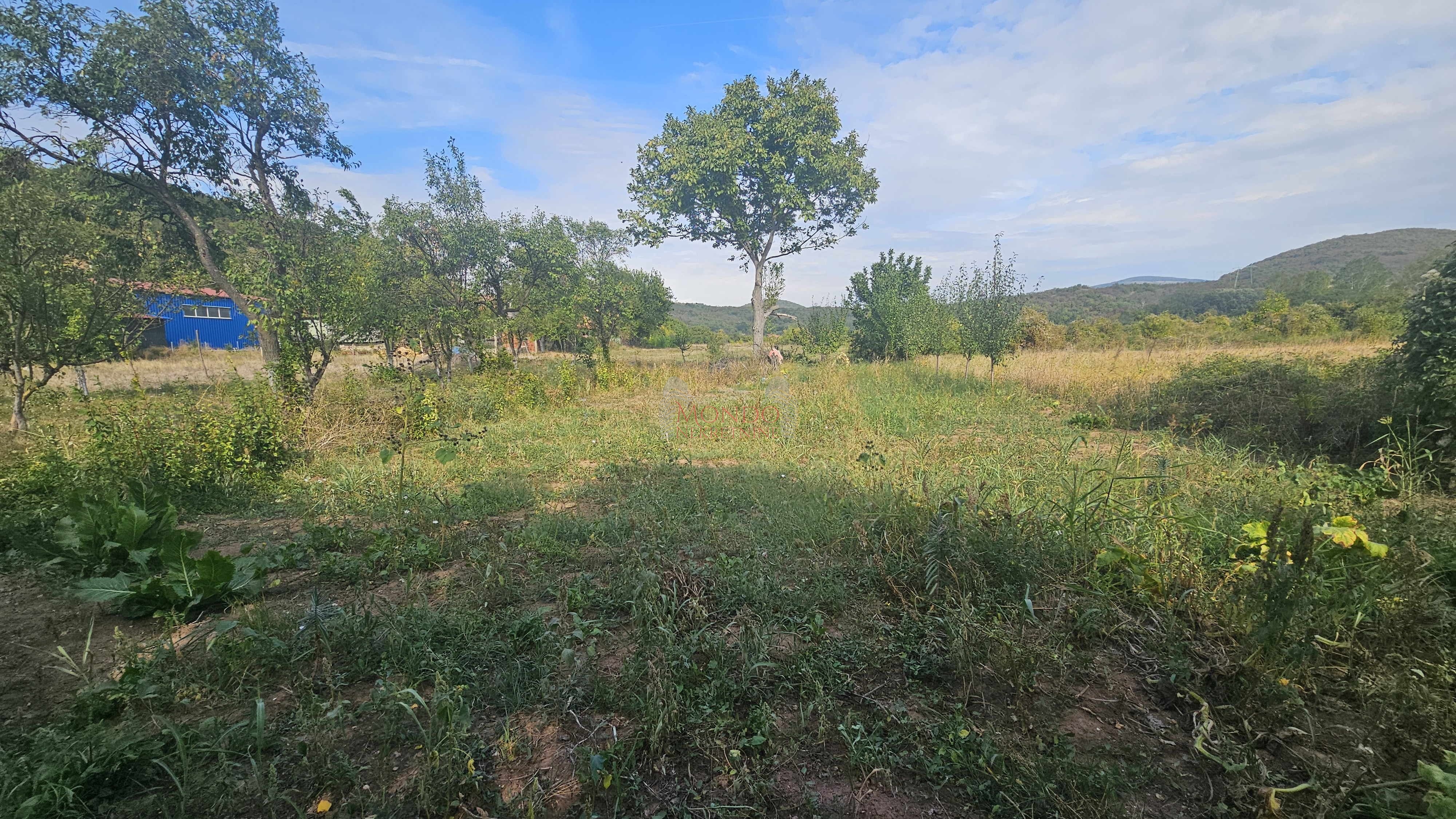 Plac, Gornja Toponica, 50 ara 5