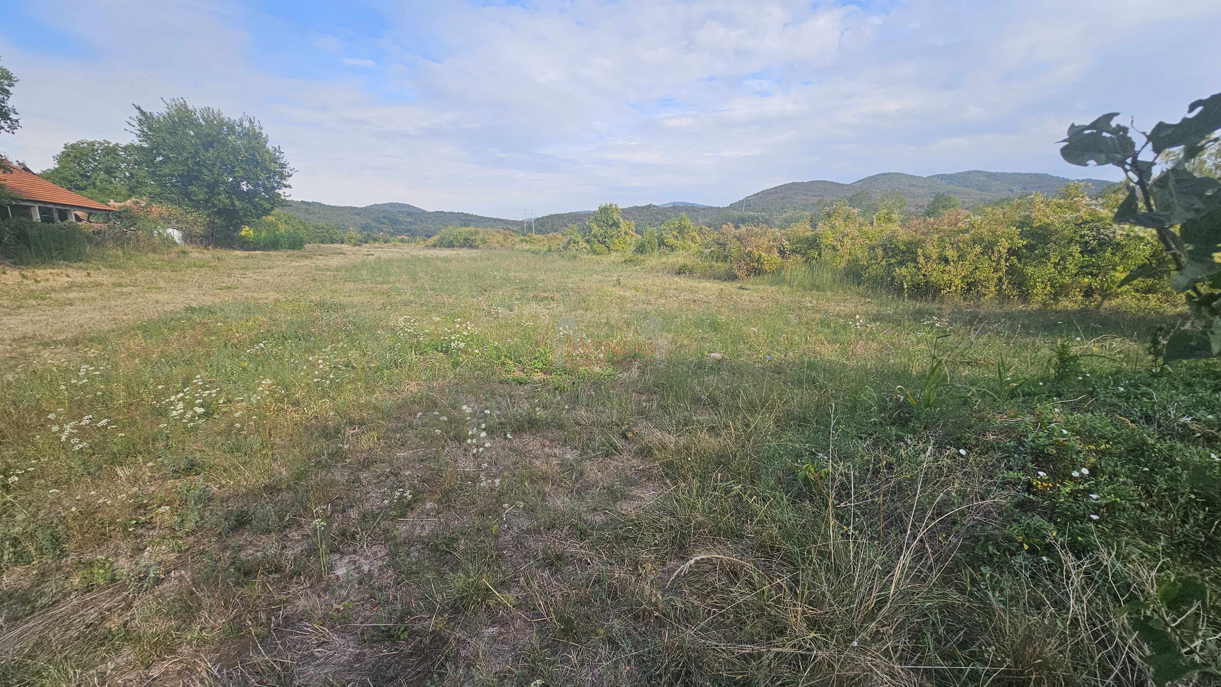 Plac, Gornja Toponica, 50 ara 4