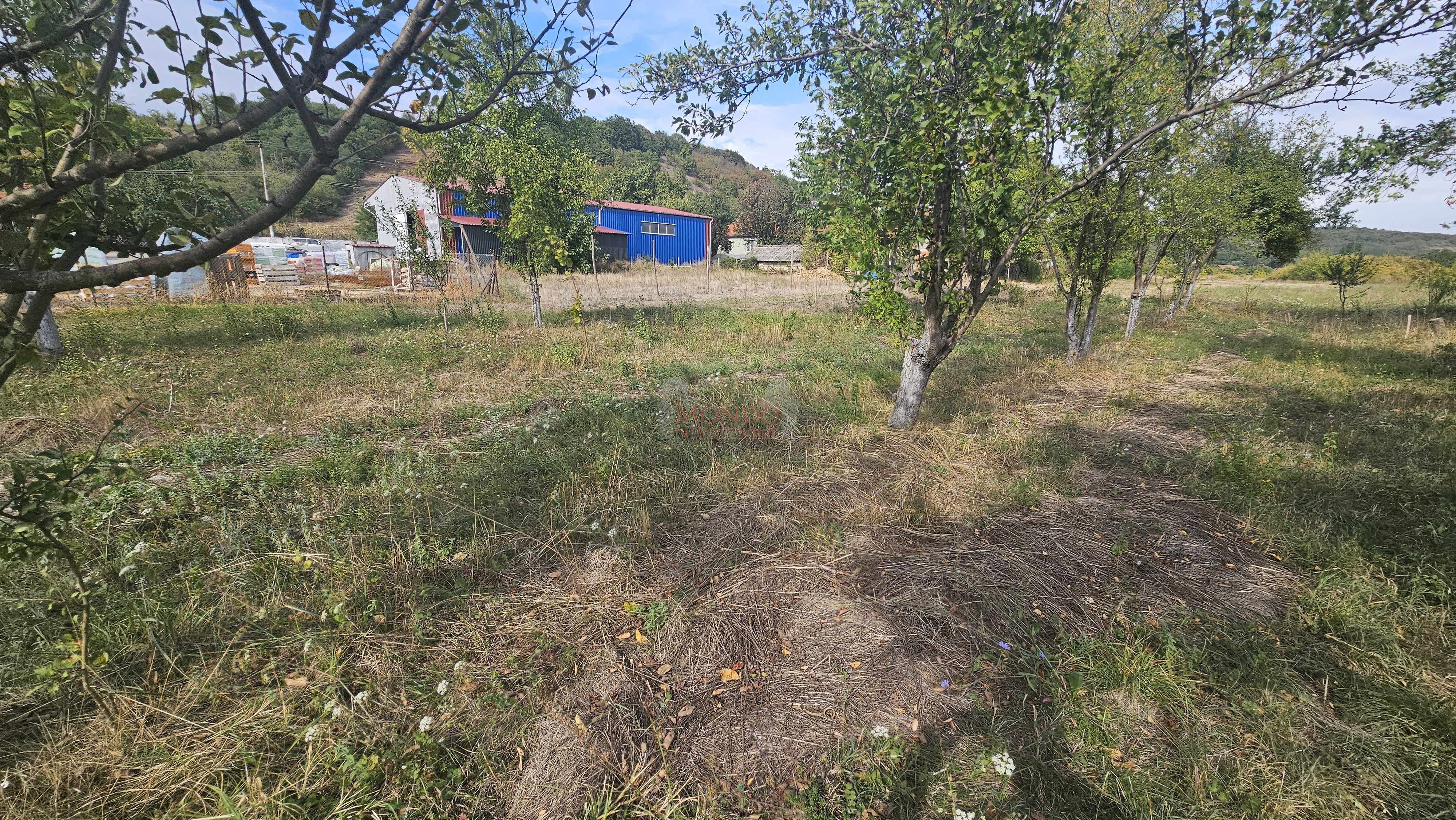 Plac, Gornja Toponica, 50 ara 6