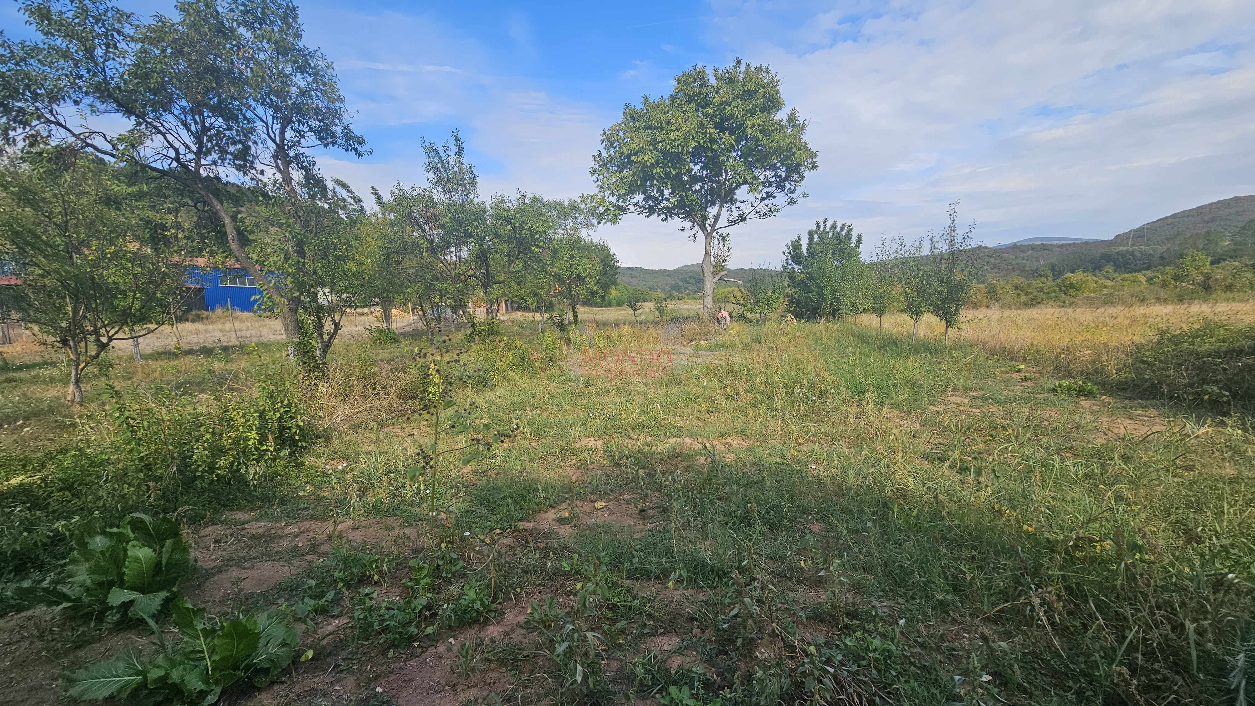 Plac, Gornja Toponica, 50 ara 7