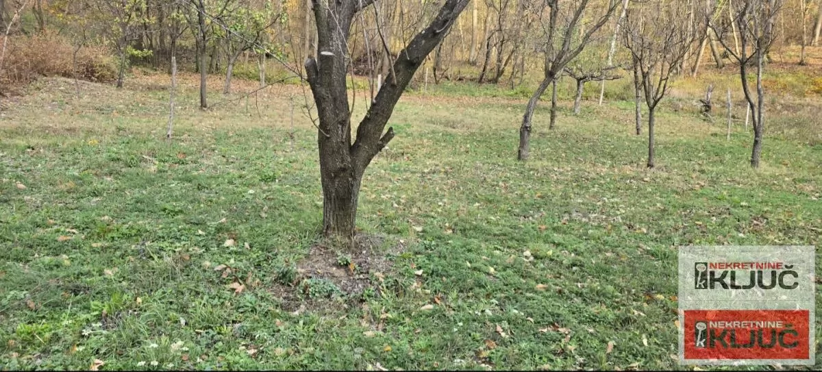 RAKOVAC, Vikendica 63m2 na placu 1400m2 22