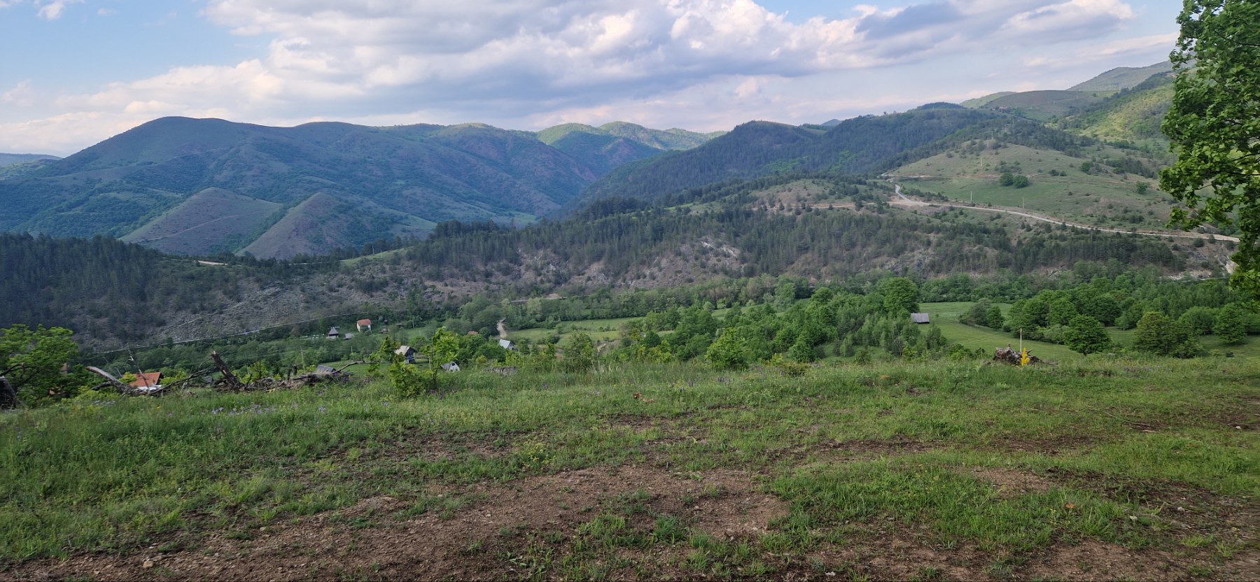 Prodajem plac sa brvnarama na Zlatiboru 4