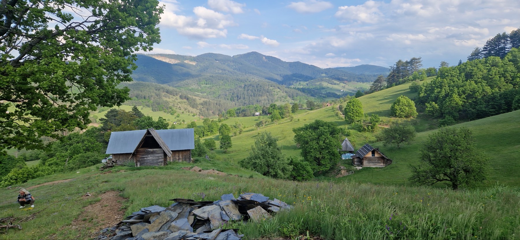 Prodajem plac sa brvnarama na Zlatiboru 5