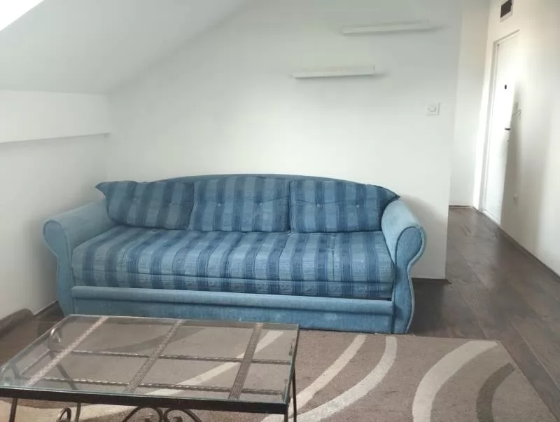 Stan,SREMSKA KAMENICA,SREMSKA KAMENICA,kv: 25, € 220, ID: 9101588 4