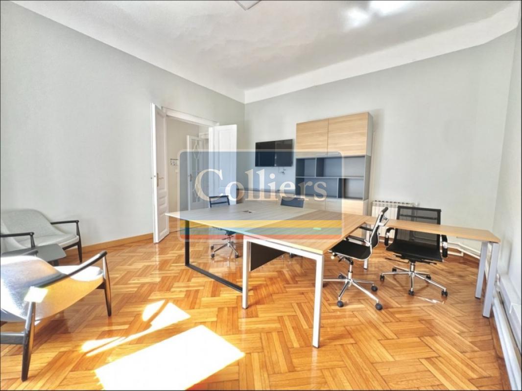 Stari grad, Dorćol, Cara Urosa, Poslovni prostor, 240.00m2, 2300 EUR 1