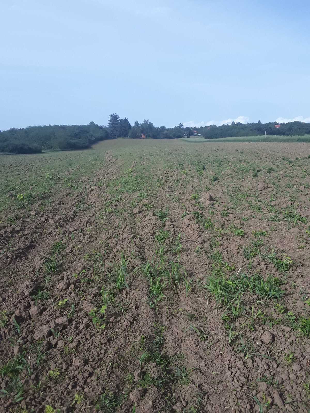 Placevi na prodaju Mladenovac Vlaška 1