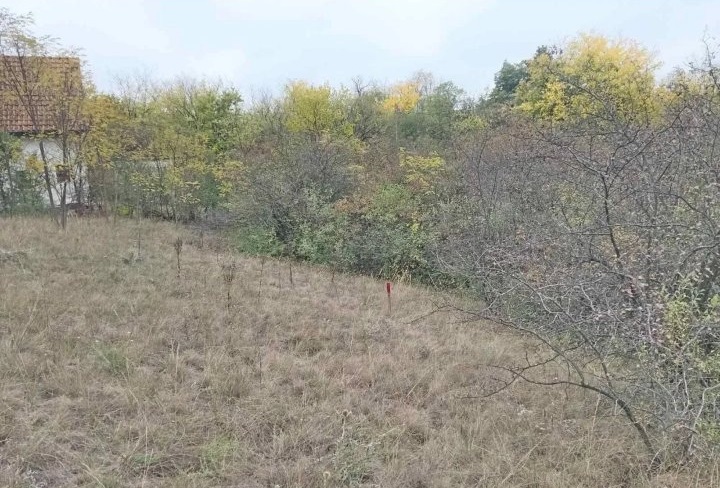 Plac Devojački Bunar 2