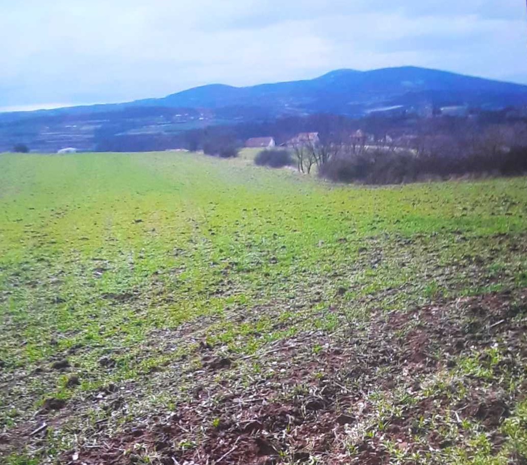 Placevi na prodaju Mladenovac Vlaška 3