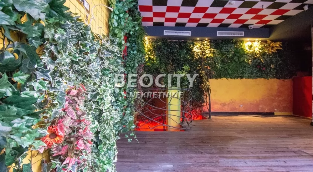 Lokal, 245 m2, Zvezdara, Jovana Ćirilova ID: 126302 2