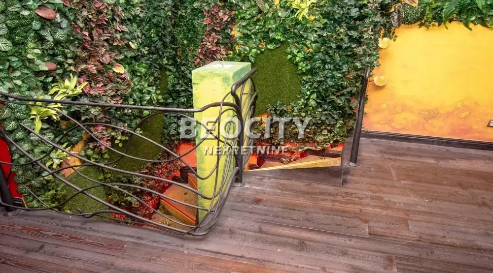 Lokal, 245 m2, Zvezdara, Jovana Ćirilova ID: 126302 3