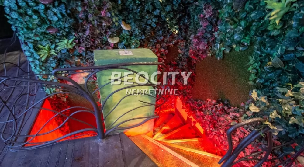 Lokal, 245 m2, Zvezdara, Jovana Ćirilova ID: 126302 4