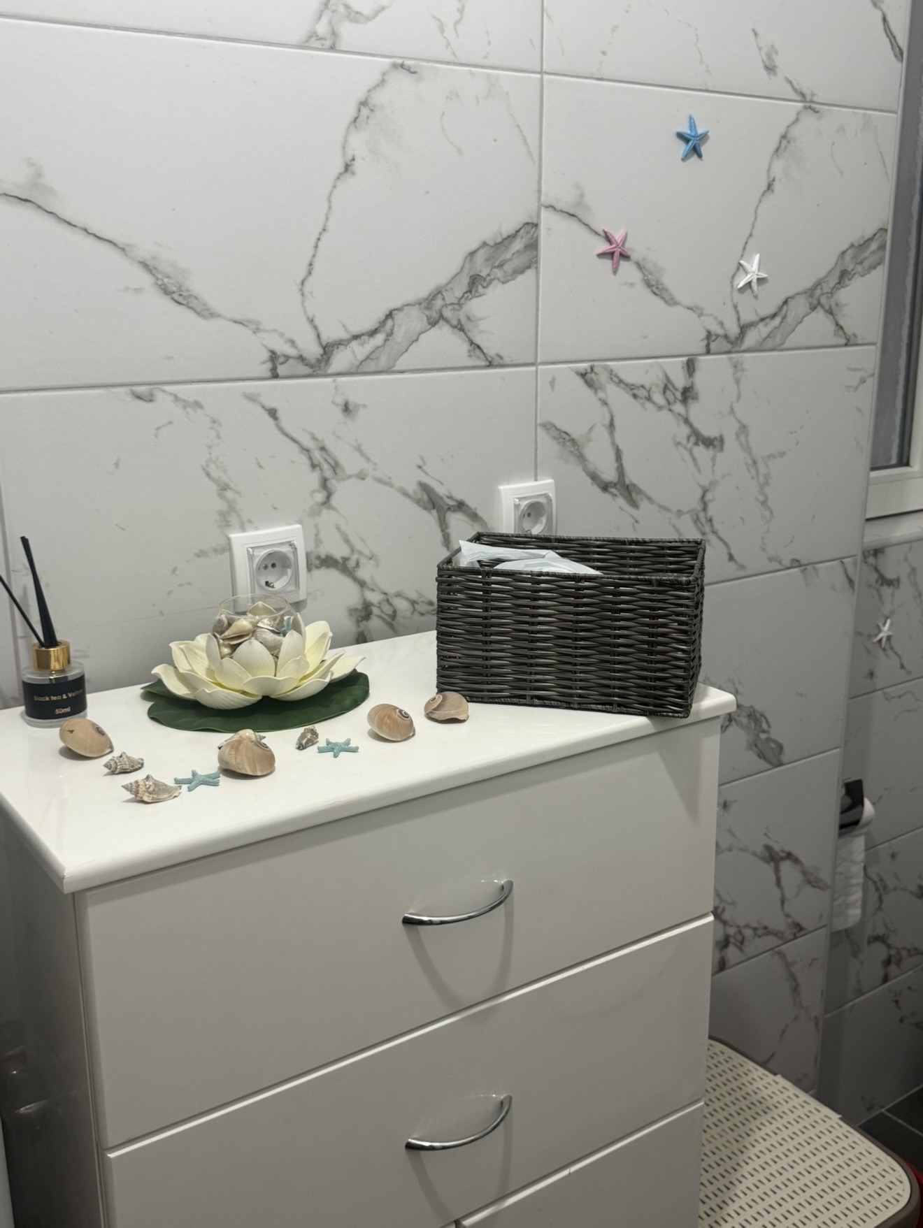 Njegoševa Cvetni trg jednosoban stan lokal 500e 13