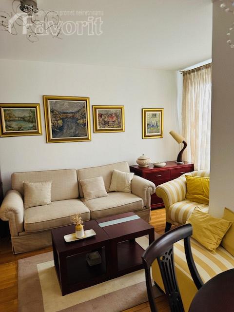 ZEMUN, RADNICKA, 50m2 4