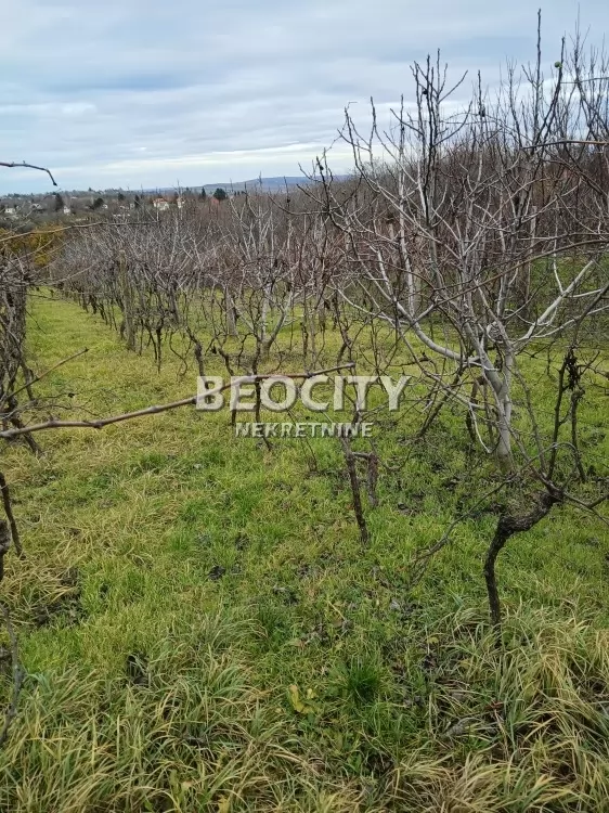 četvorosobna kuća, 120 m2 ID: 126729 5