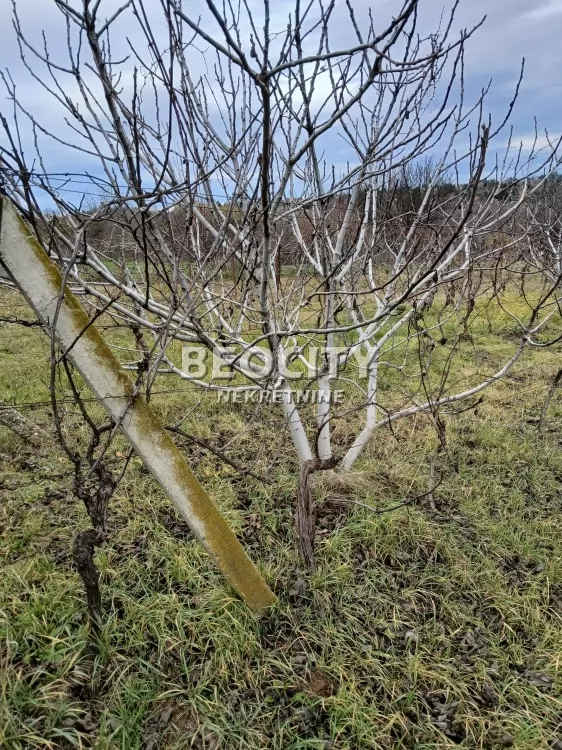 četvorosobna kuća, 120 m2 ID: 126729 6