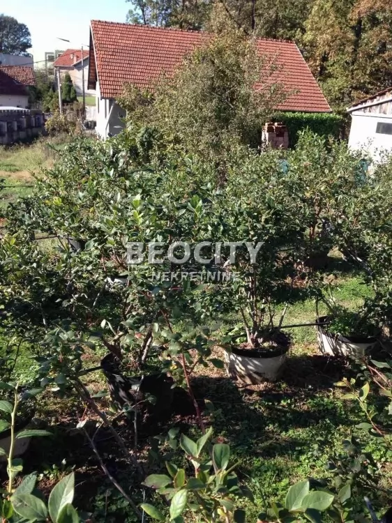 Plac, Rakovica, Miljakovačke staze ID: 126732 2