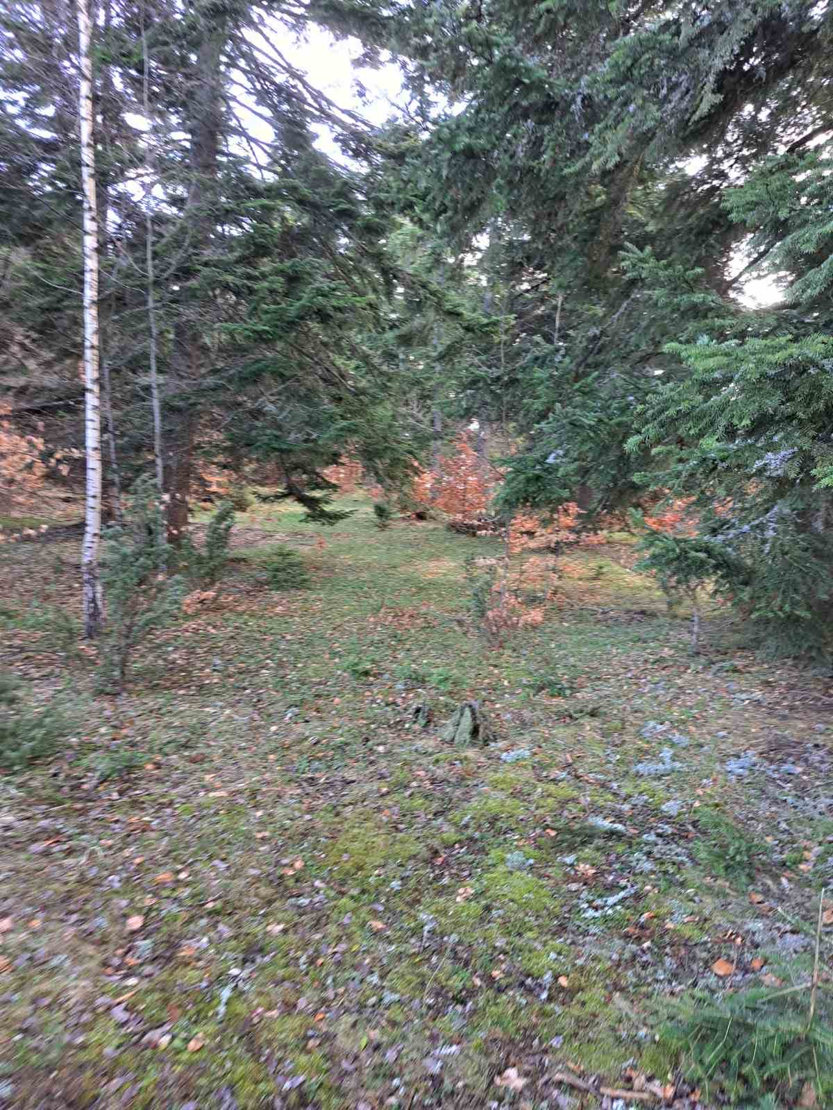 Plac Zlatibor selo Stublo 2