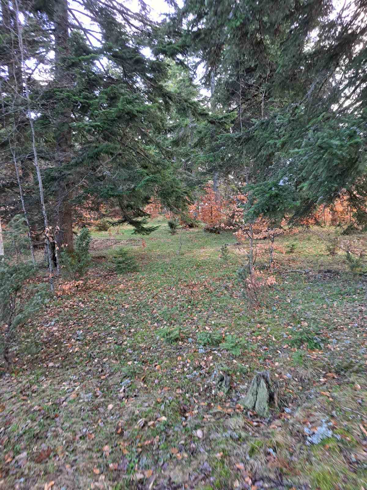 Plac Zlatibor selo Stublo 3