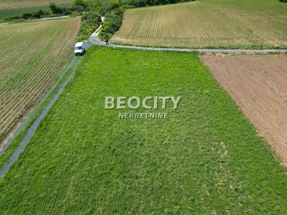 Plac, Beli vrh ID: 126871 2