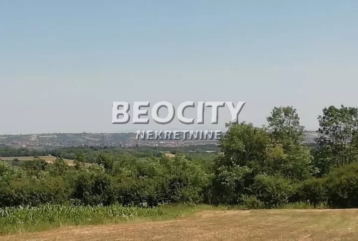 Plac, Koraćica ID: 126794 1