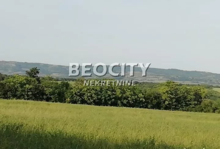 Plac, Koraćica ID: 126794 4