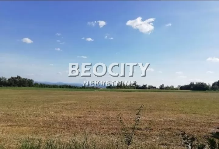 Plac, Koraćica ID: 126794 5