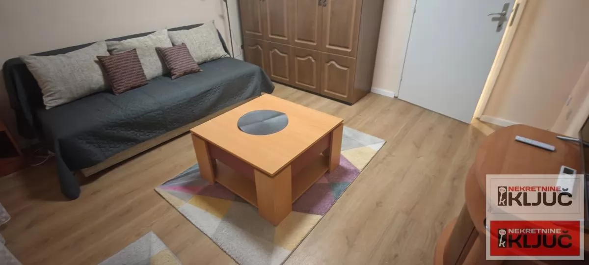 Odlican renoviran stan na Limanu 4 3