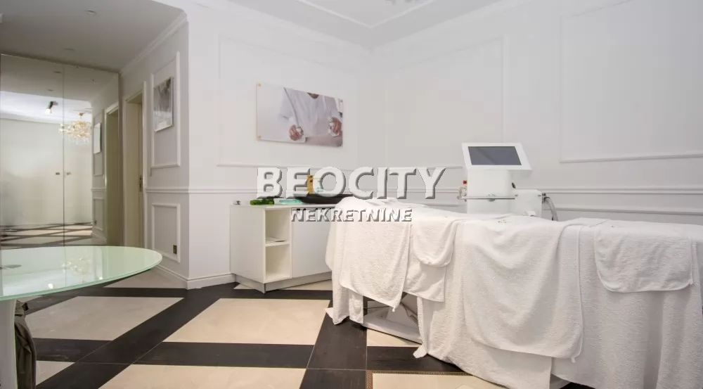 Lokal, 119 m2, Centar, Bulevar Vudroa Vilsona ID: 127122 11