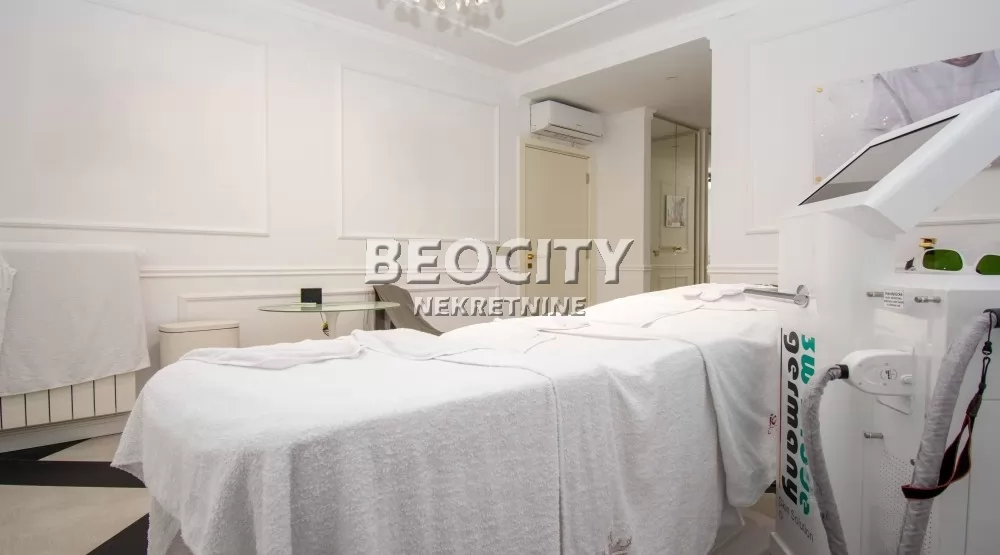 Lokal, 119 m2, Centar, Bulevar Vudroa Vilsona ID: 127122 12